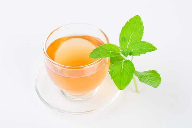 阳台种菜易死？选对品种是关键！新手活菜指南必看