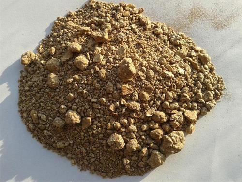 家中常见4款废料，简单处理养花，个个变废为宝