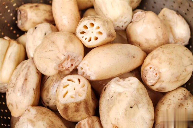 天冷吃莲藕加五花肉，教你年夜菜好吃做法！ 