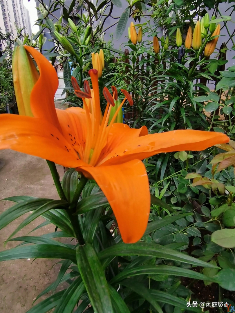 湿气重的症状 中医有哪些祛除湿气方法