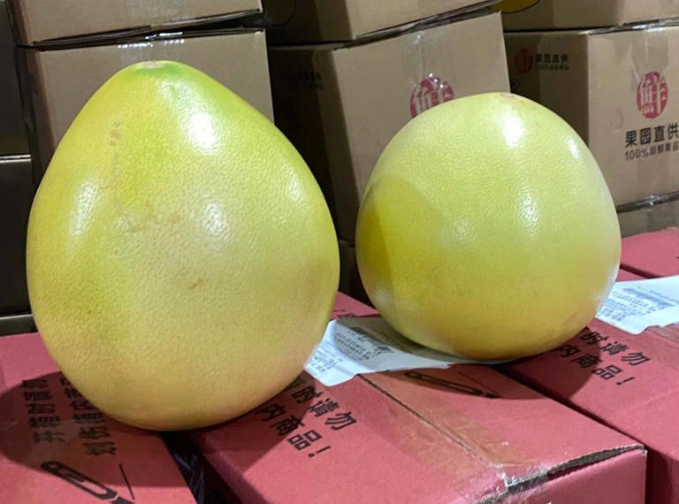 同样是柚子，“尖头”和“圆头”区别很大，知道后别再乱买了！