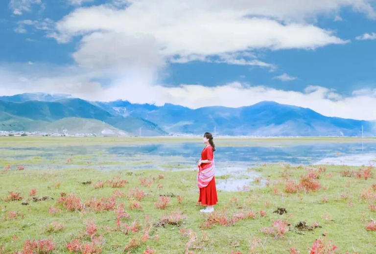 爱情是一个充满曲折的迷宫，我们很难从中直接找到情感的真实本质。 有时候，我们看着两个人明明很相爱，却意外地分手，这是最难以接受的选择。 有时候，我们以为一段感情可能没有结果，却发现它可以成为一对终身争吵但永不分离的伴侣。 这是因为前者是我们