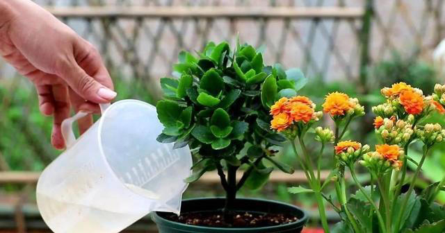 让家越住越舒心的18个好习惯！