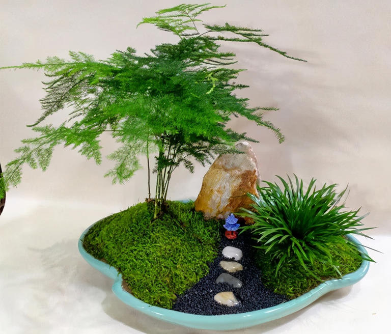 想养这3种花？捡几粒种子育苗，轻松打造美丽花海