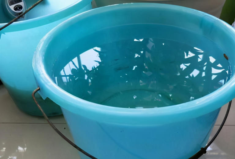 养花入门：盆栽浇水的技巧与要求全揭秘！