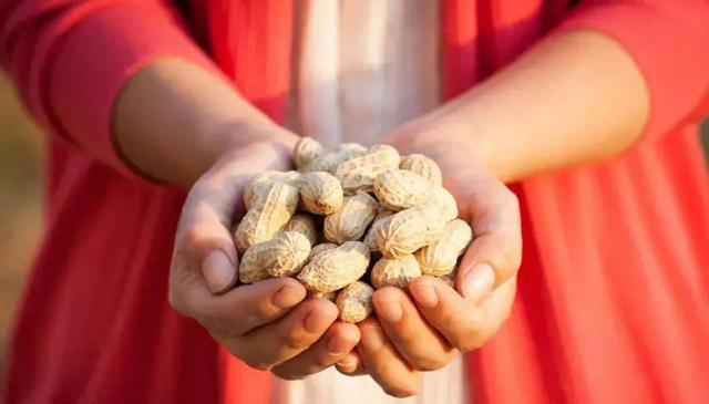 生花生和熟花生，哪个更营养？医生劝告：这4类人最好少吃！