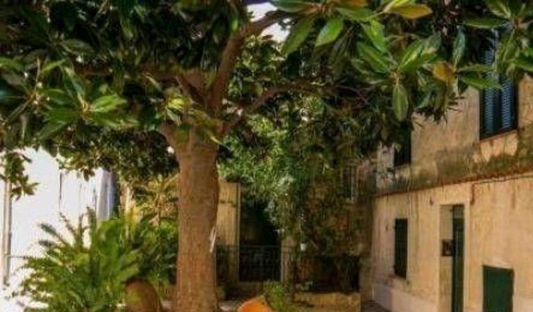 “房前不栽树，屋后不种花”非迷信，竟有科学依据！