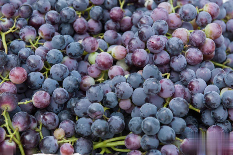 8种热门葡萄图鉴+5招选购技巧，轻松挑到甜润果