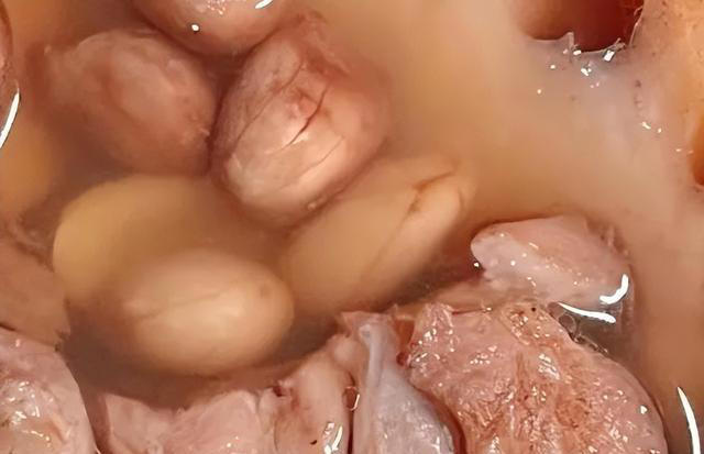 孩子想要长高个，营养要补够，秋天常吃八道菜，营养均衡又好吃