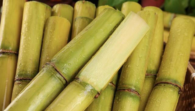 入秋后，喉咙干痒总咳嗽？推荐7种美味的水果，润燥止咳有效果