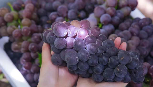 这几种水果，好吃不易升糖