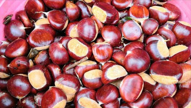 保存板栗，先煮熟还是直接冷冻？方法用对了，放一年照样软糯鲜甜