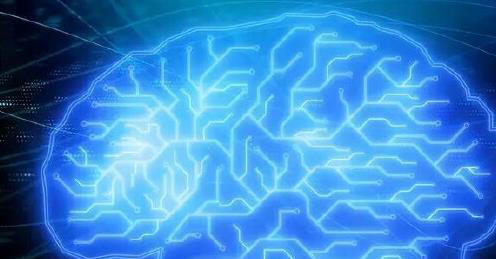 打破谬论，大脑是100%开发的。科学家：只要是人，都是完全开发