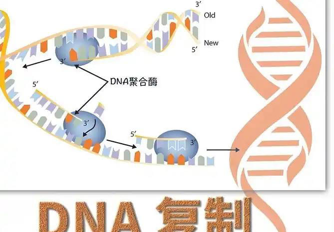 深度科普：宇宙七大终极之谜，或许人类永远无法解答！