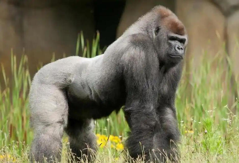 深度科普：宇宙七大终极之谜，或许人类永远无法解答！