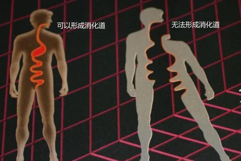 深度科普：什么是四维空间，人类能前往四维空间吗？