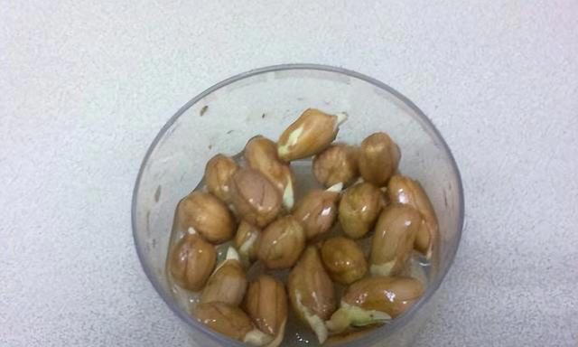 不打药，不用土，看看家庭版水培蔬菜都能长出啥？