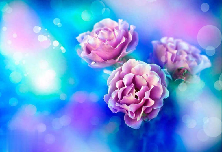 生活的扎心现实：坏人恶人真的不少，所以，活得有点攻击性吧