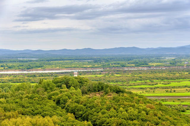 真正聪明的人，都在用笨办法做事！