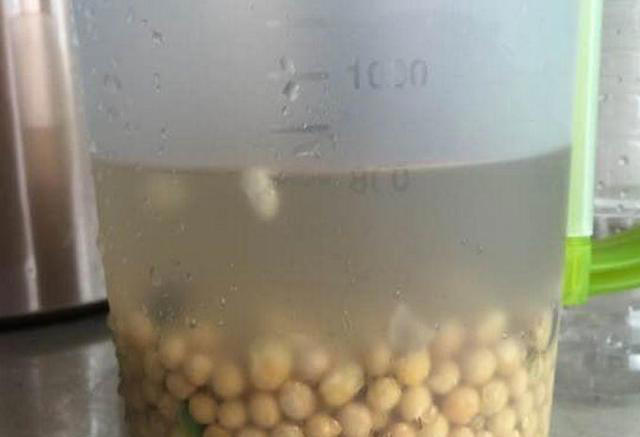 堪称“养花利器”的黄豆该怎么用？2种技巧，任你选择