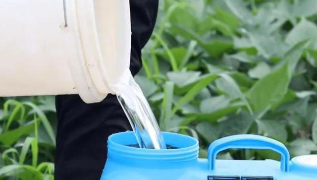 养花用什么肥料最好？这些方法让你的花儿养得更好！