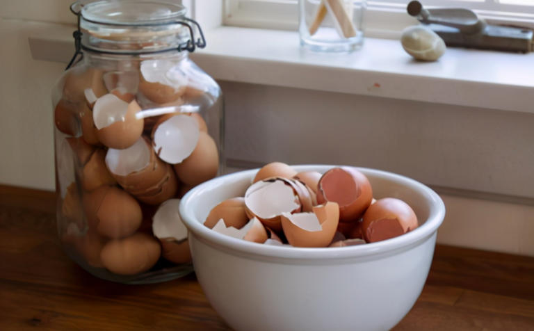 蛋壳营养、制肥方法及养花好处，你知道多少？