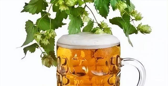 养花时，盆里埋点这“3东西”，根、叶窜个不停，啥花都能养爆