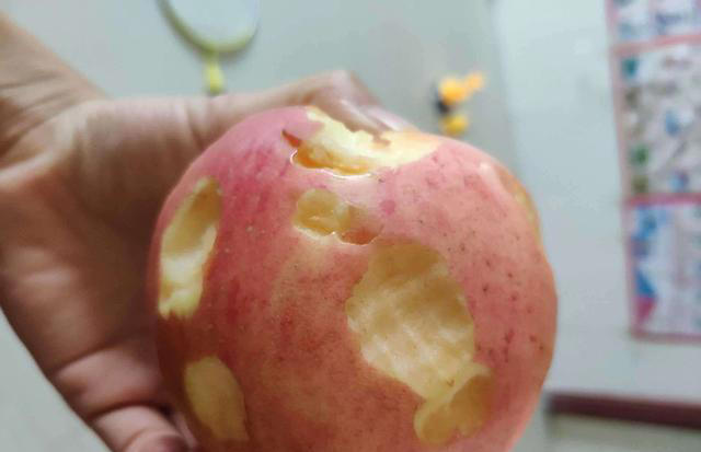 苹果皮扔掉太可惜了，手把手教你泡水养花，涨知识了