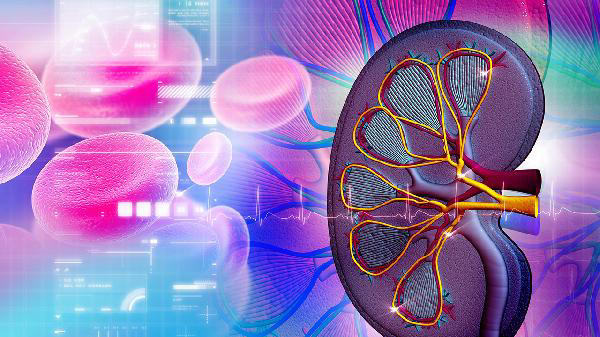 肾不好的人，不一定会疼痛，有这4个异常，说明肾脏快撑不住了！