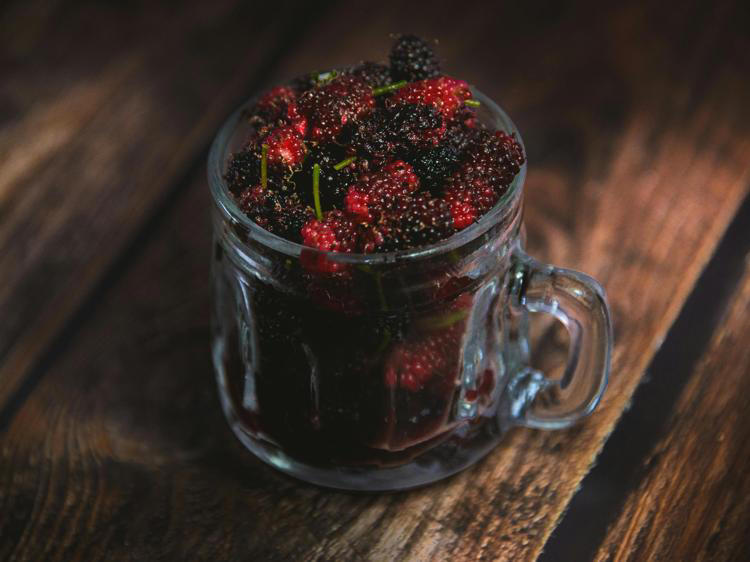 桑葚真能补肾？科学真相与正确吃法(本图只做示意,与正文内容无关)