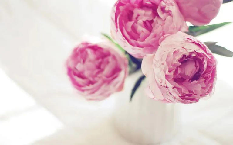 男人的爱很简单，当他对你表现出这种“放手”时，就是爱到骨髓了