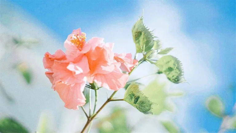 若是，男人深爱过一个女人，即使他想否认，这些表现却骗不了人