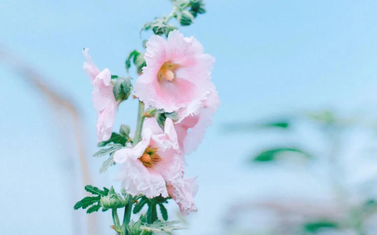 卡夫卡曾说：  男人变心时，或许有多种原因，可未必就是邂逅了所谓的真爱。  或许，在“爱情”的高光下，就连变心的男女都分不清，他自己到底是种什么样的感情。  但是，当诱惑不再刺激、当甜蜜不再新鲜时，也许，这份爱也就回归了它本来的面目。