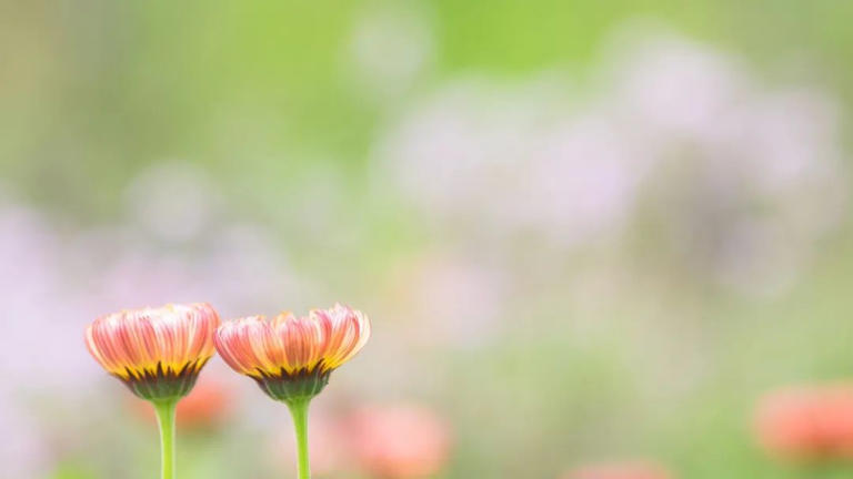 男人变心，都是遇到了真爱吗？原因很明显，女人别再不懂