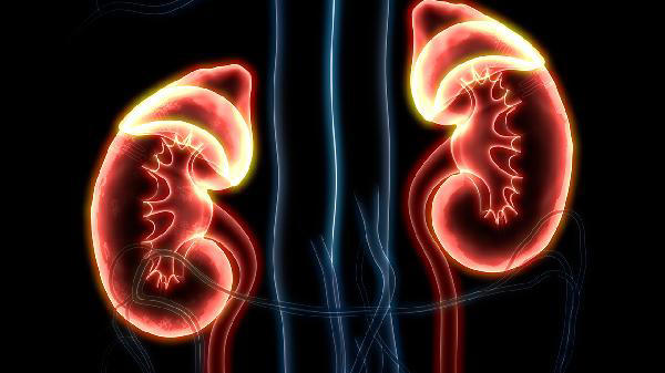 肾不好不一定腰疼，医生：身体出现这5个信号，别再硬扛