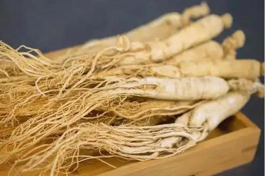 白萝卜不能乱吃！医生告诫：别和这些同食，快转告父母