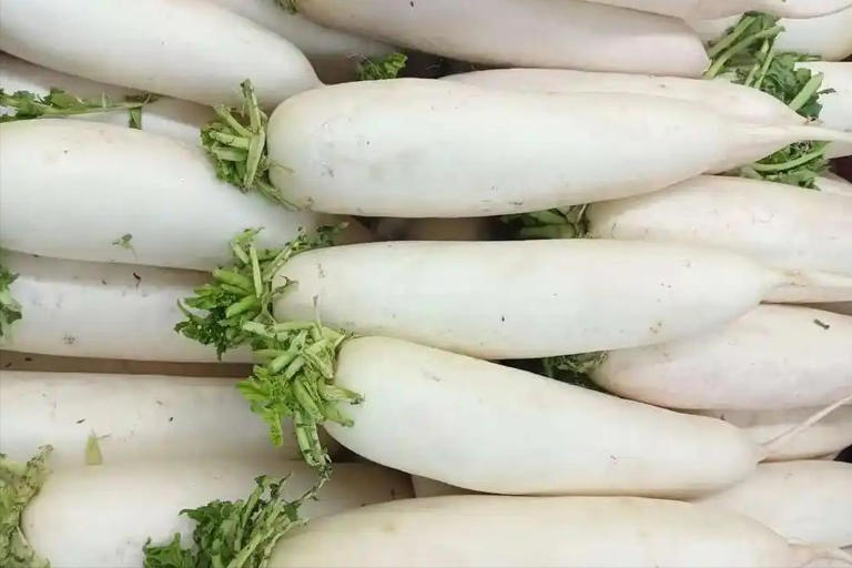 白萝卜不能乱吃！医生告诫：别和这些同食，快转告父母