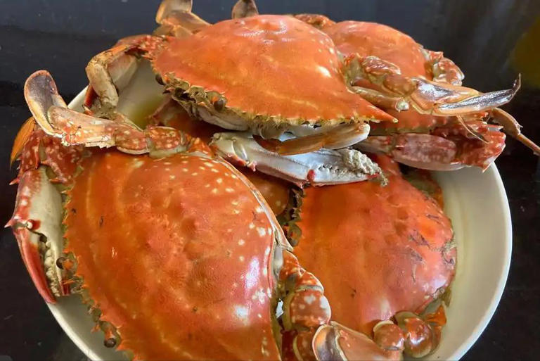 白萝卜不能乱吃！医生告诫：别和这些同食，快转告父母