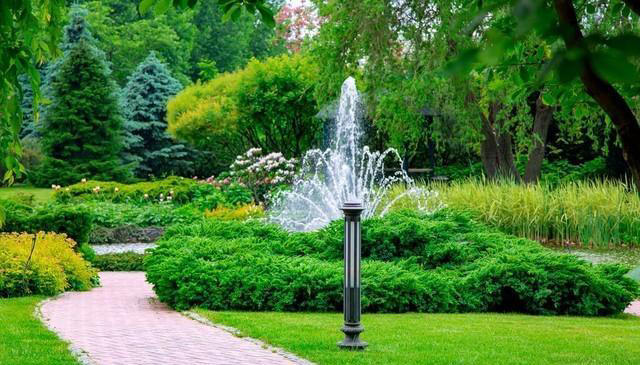 植物的生活：了解它们的需求和习性