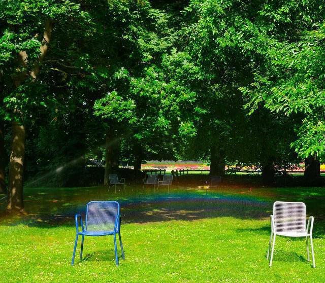 植物的生活：了解它们的需求和习性