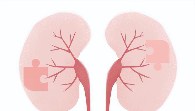 出现这4种症状，可能肾脏出问题了！做好预防，远离4个发病因素