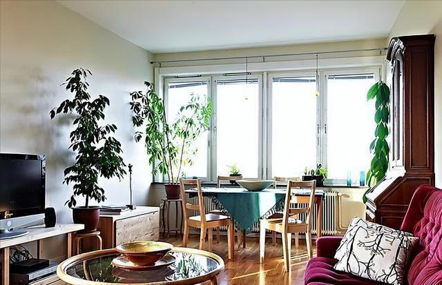 客厅选横厅好还是竖厅好？别傻傻被开发商骗了，看完这四点就懂