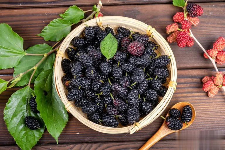 维生素C是蓝莓4倍！吃它好处多多