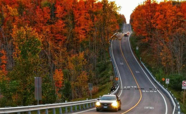 自动挡开车别只踩D挡！老司机私藏秘籍，新手一看就会