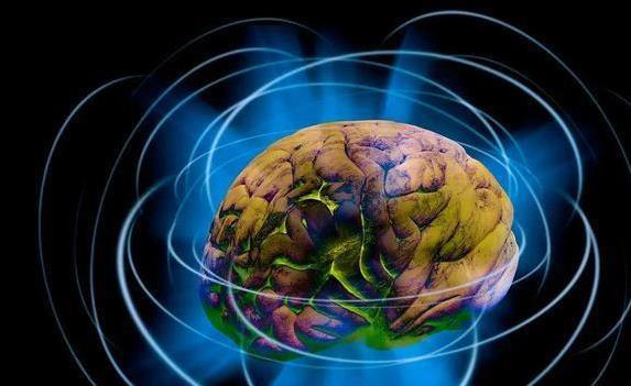 大脑亿万粒子忙碌，物理规律管得严，意识还能自由吗？