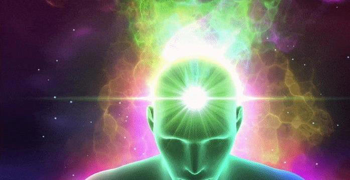 大脑亿万粒子忙碌，物理规律管得严，意识还能自由吗？