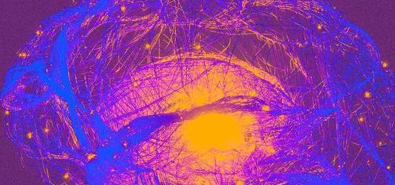 大脑亿万粒子忙碌，物理规律管得严，意识还能自由吗？