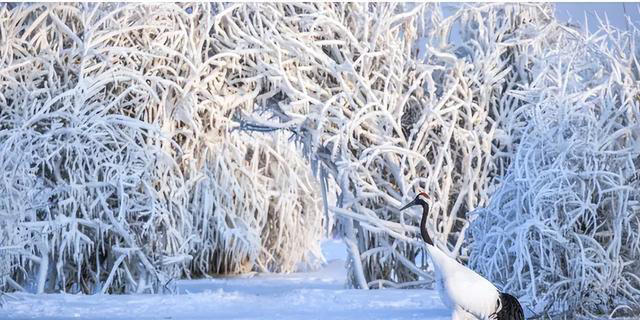 立冬已过，建议大家少吃萝卜和猪肉，多吃几样，顺利过冬天！