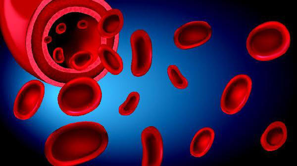 人类血管里发现微塑料！从环境到人体，它如何渗透我们的生活？