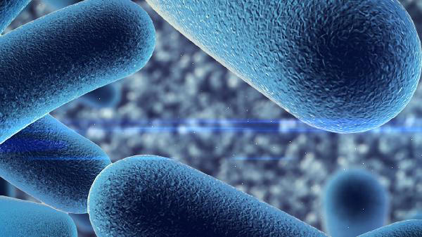  益生菌别乱吃？医生：两种菌或促进肿瘤生长，增加肠道感染风险？ 